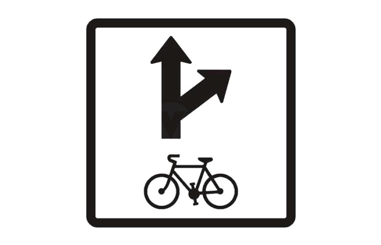 Dopravní značka E12c - Povolený směr jízdy cyklistů Dopravní značka E12c - Povolený směr jízdy cyklistů